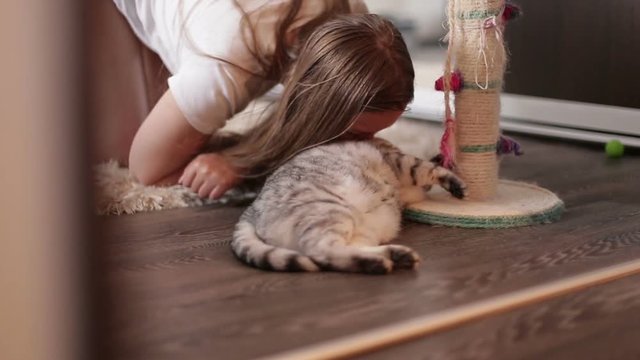 Beautiful young girl playing with an active striped cat on the carpet at home