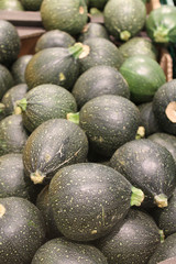 courgettes rondes