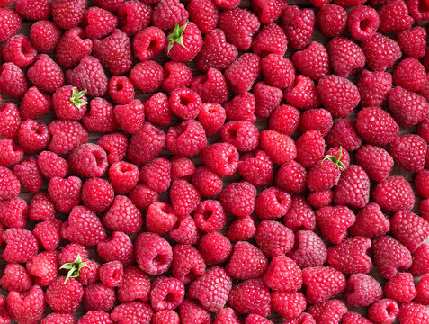 Raspberries. Close up, top view, high resolution product. Harvest Concept