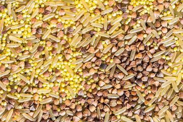 Various grain of cereal - rice, millet buckwheat, natural background