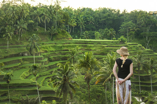 Caucasian tourist admiring rural rice terrace, Ubud, Bali, Indonesia