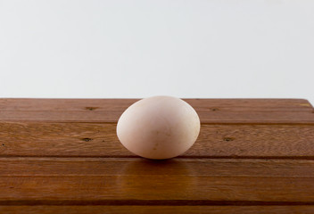 Duck egg on wooden table 