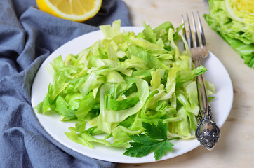 Cabbage Salad on bright background