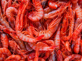 Red shrimps on a market