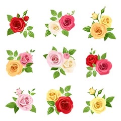 Fototapete Blumen Vektorset aus roten, rosa, weißen, gelben und orangefarbenen Rosen, isoliert auf weiss.