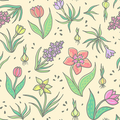 Spring flowers seamless pattern. Botanical background with bulbous flowers. Vector illustration.