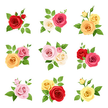 Vector set of red, pink, white, yellow and orange roses isolated on white.