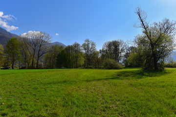 Panorama di campagna con prato e alberi