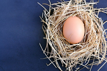 egg in a nest on a dark background