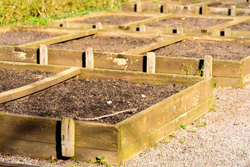Lots of wooden seedbeds with rich soil on a gravel area outdoors.