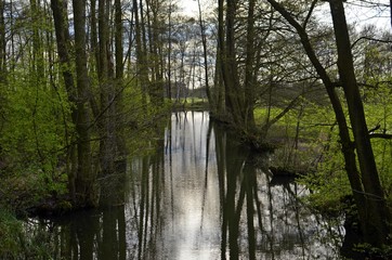 Fließ im Spreewald