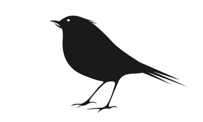 Obraz premium bird