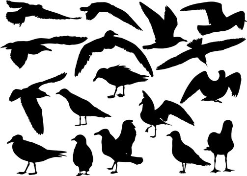 set of seventeen gull black silhouettes