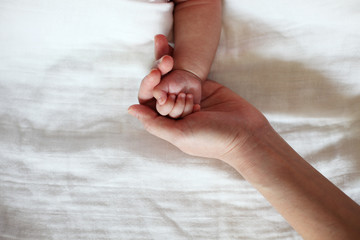 Baby's Hand Hold by Mother Hand Closeup