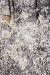 old stone texture