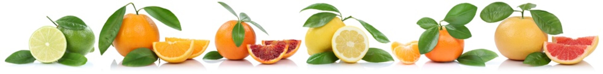Collage Orangen Zitrone Mandarine Grapefruit Früchte in einer R
