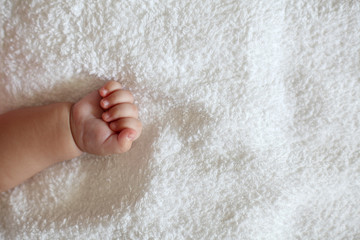 New Born Baby Hand on White Blanket