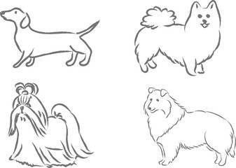 4 dog breeds