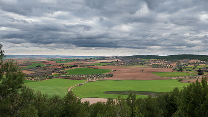 Green cultivated fields against cloudy sky