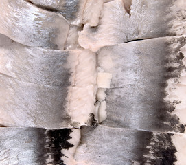 Background from pieces of salted herring. Closeup image.