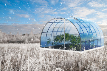 One round greenhouse in winter