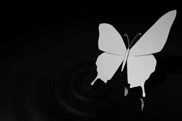 Fototapeten vlinder boven water © emieldelange