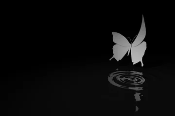 Fototapeten Vlinder veroorzaakt rimpels in water © emieldelange