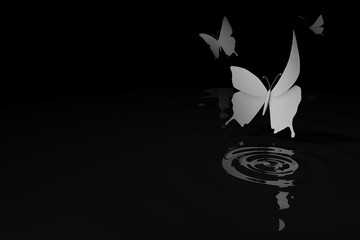 Vlinders vliegen boven water