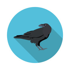 Fototapeta premium flat icon Raven