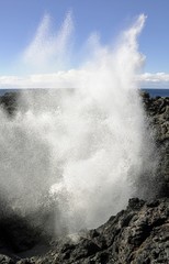 Kiama blowhole a natural landmark in Kiama NSW, Australia