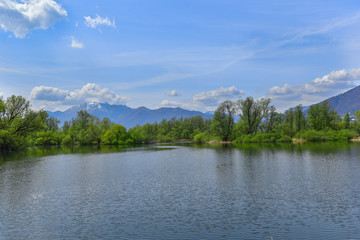 Fototapeta na wymiar Lago immerso nella natura circondato dagli alberi