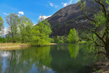 Fototapeta na wymiar Lago immerso nella natura circondato dagli alberi