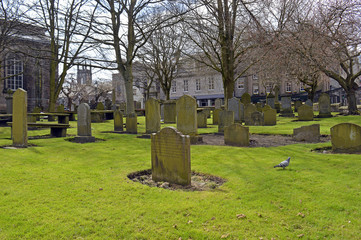 City churchyard with graves