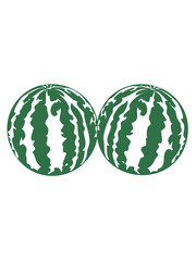 2 melons watermelon bosom breasts balls boobs funny