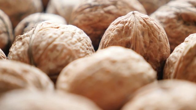 Walnut hard shells arranged and ready to being processed slow tilt 4K 2160p 30fps UltraHD video - Food background of walnut in the shell 4K 3840X2160 UHD tilting footage 