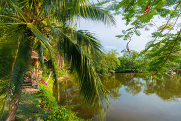Green grass wit pond on field