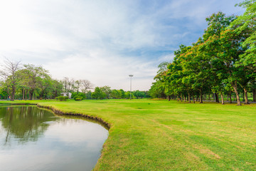 Green beautiful public park with green grass field