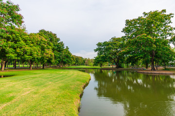 Green grass wit pond on field