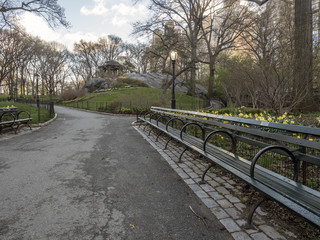Central Park, New York City