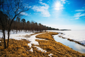 Spring landscape . Siberia, Yugra.