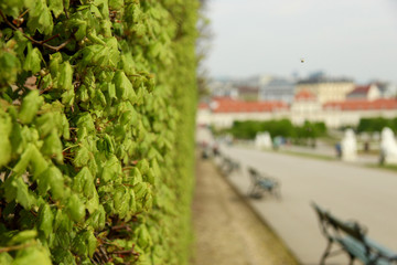 Belvedere, Wien, Österreich, 2016