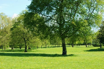 A park landscape in the Springtime, 