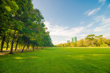 Green public park outdoor