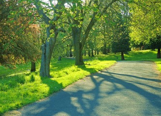 Park landscape in the Springtime.