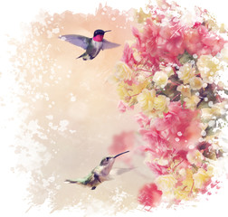 Fototapety  Kolibry i kwiaty akwarela