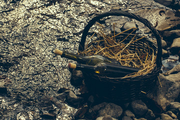 Bottles in picnic basket