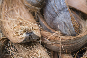 Pile of coir husks on the ground