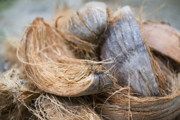 Pile of coir husks on the ground