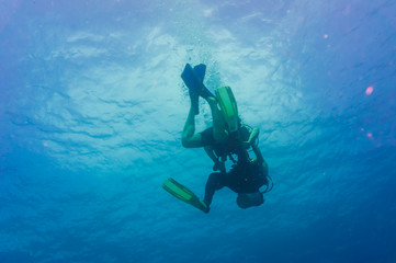 Fototapeta na wymiar Scuba Divers swimming over the live coral reef