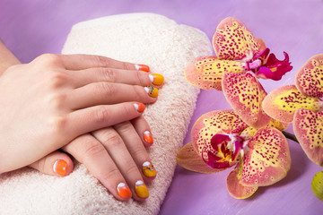 woman's hands with a manicure and orchid branch Phalaenopsis